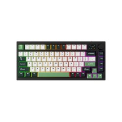 Tecware Tri-Tone PBT Keycaps For 81 Keys Mechanical Keyboard - Frosty Forest