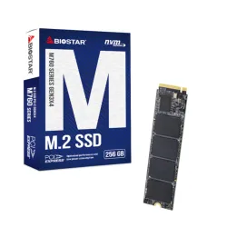 Biostar M760 256GB M.2 NVMe SSD