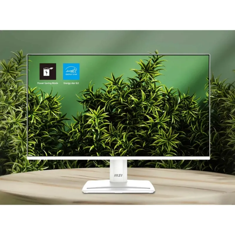 MSI PRO MP251W E2 24.5" 120Hz IPS FHD Monitor