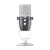 AKG Ara C22 Professional Two-Pattern USB Condenser Microphone