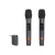 JBL Wireless Microphone with Two Microphone System