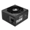 ASUS TUF Gaming 750W Gold 80 Plus Full Modular Power Supply