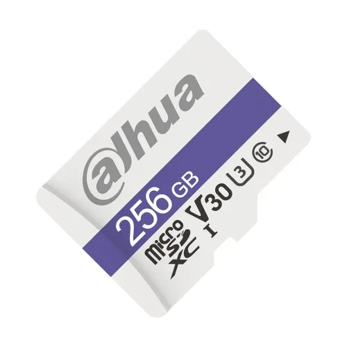 Dahua C100 256GB UHS-I Class 10 microSDXC Memory Card