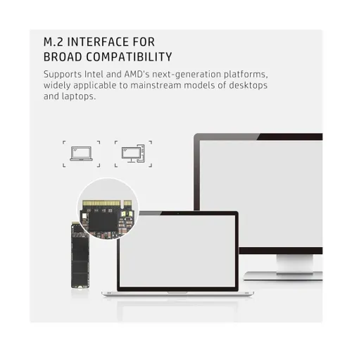 HP EX900 Plus 256GB M.2 2280 PCIe NVMe SSD