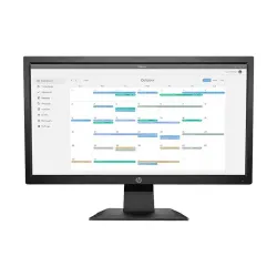 HP P204v 19.5 Inch HD LED Monitor