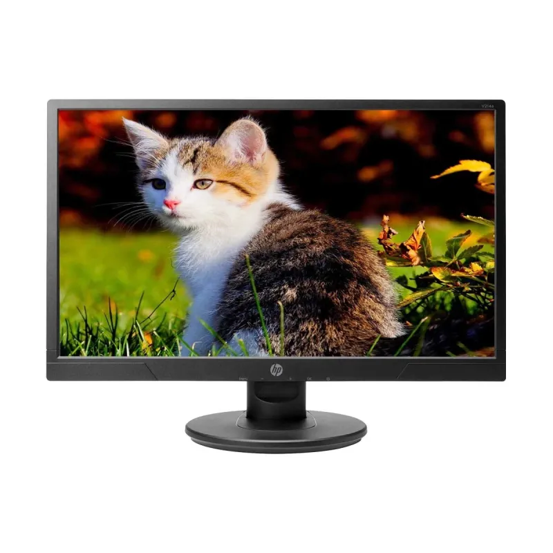 HP V214a 20.7 inch FHD (1920x1080) LED Monitor (HDMI, VGA, Speaker)