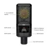 Lewitt RAY Large-Diaphragm Condenser Microphone Lewitt RAY Large-Diaphragm Condenser Microphone