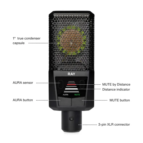 Lewitt RAY Large-Diaphragm Condenser Microphone