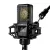 Lewitt RAY Large-Diaphragm Condenser Microphone