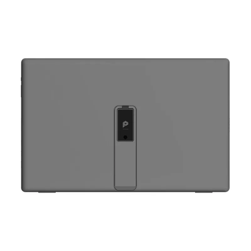 MSI PRO MP161 E2 15.6" IPS FHD Portable Monitor