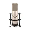 Rode K2 Variable Pattern Dual 1" Condenser Valve Microphone