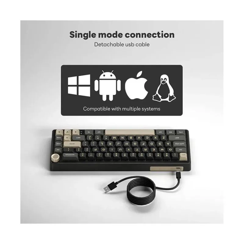 Royal Kludge RK R65 RGB Hotswappable Mechanical Keyboard