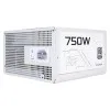 Thermalright TR-SP750-W 750W 80 Plus Platinum Full-Modular Power Supply