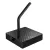 Xtrfy B4 Mouse Bungee