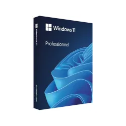 Microsoft Windows 11 Professional 64 Bit (Version 24H2)