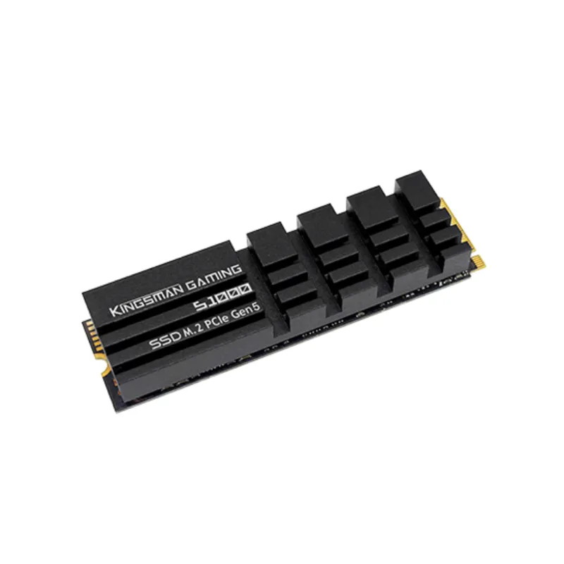KINGSMAN AITC S1000 2TB PCIE GEN5 M.2 NVME SSD