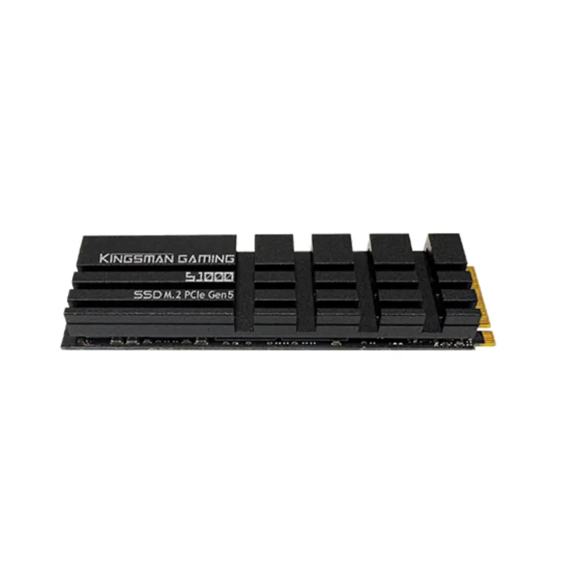 KINGSMAN AITC S1000 2TB PCIE GEN5 M.2 NVME SSD