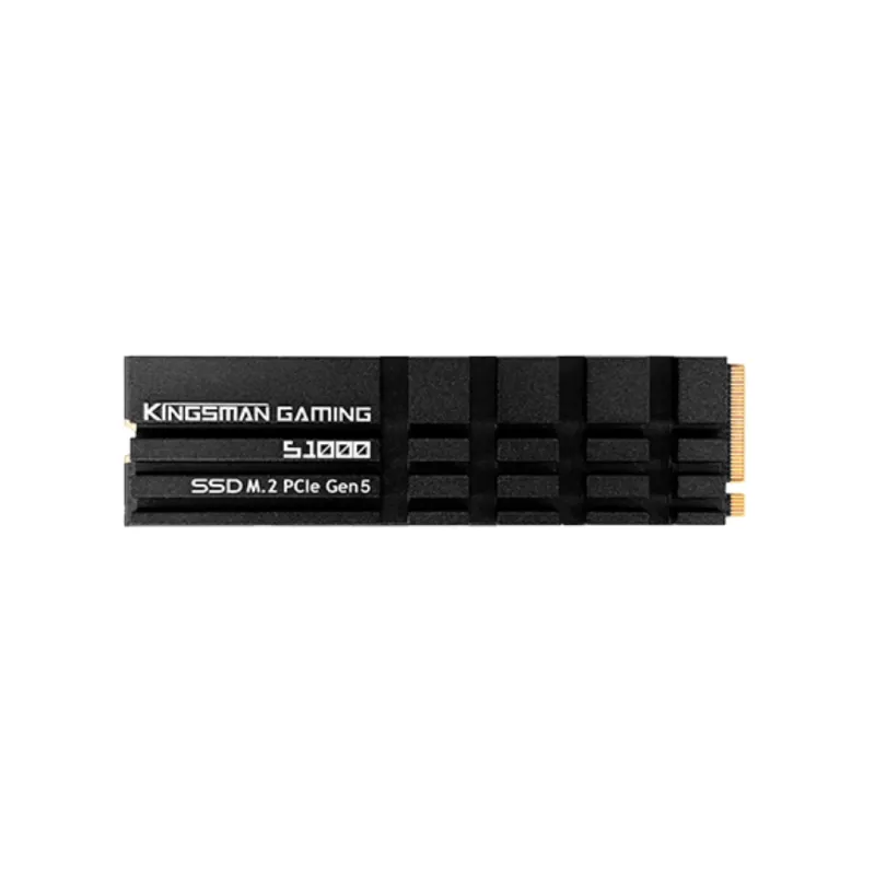 KINGSMAN AITC S1000 2TB PCIE GEN5 M.2 NVME SSD