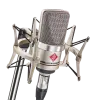 Neumann TLM 102 Large-Diaphragm Cardioid Condenser Studio Microphone