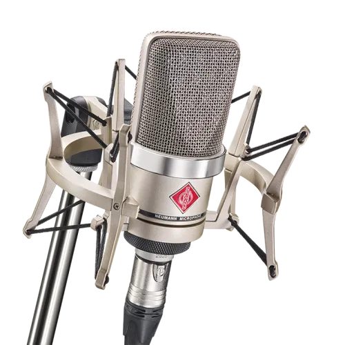 Neumann TLM 102 Large-Diaphragm Cardioid Condenser Studio Microphone
