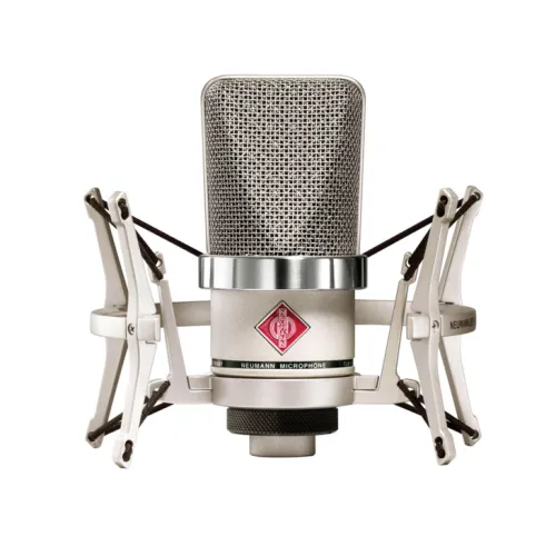 Neumann TLM 102 Large-Diaphragm Cardioid Condenser Studio Microphone