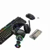 Onikuma B100 RGB Wireless Gaming Headset