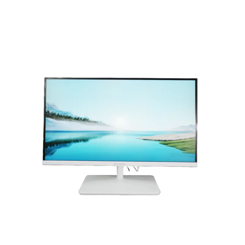 Revenger RETINA IPS22FW 21.5-Inch 100Hz FHD IPS Monitor (White)