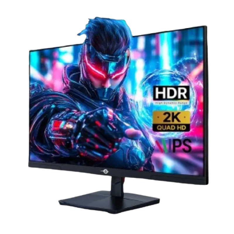 TITAN ARMY P2710R2 27 Inch WQHD 200Hz 1ms FAST IPS Gaming Monitor